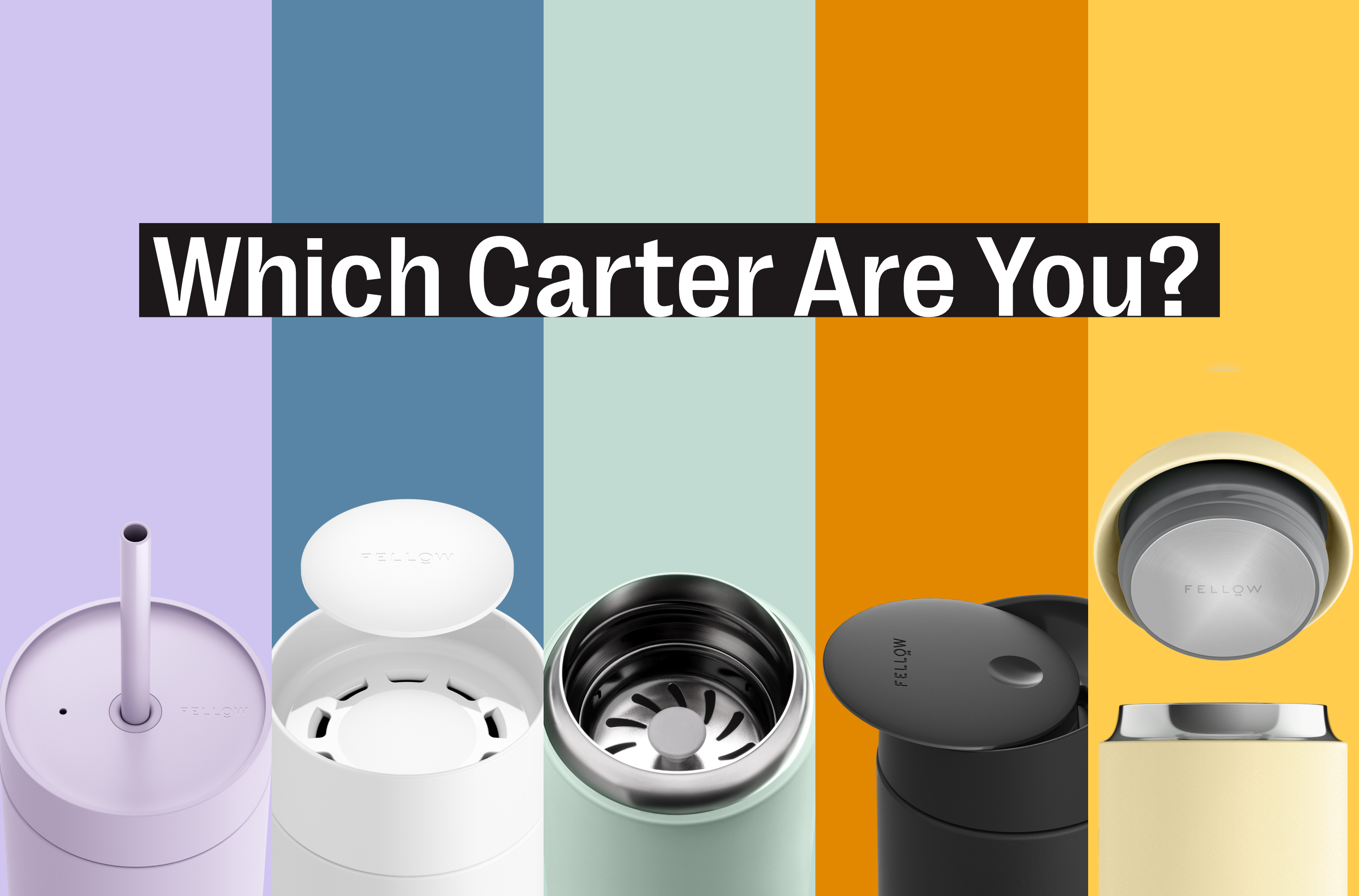 Which Fellow Carter Is Right For You?
