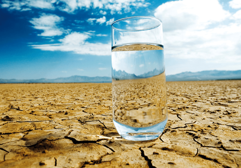 The Importance of Water and Hydration